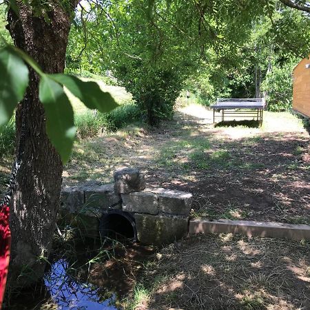 Gite Dans Le Sud Aveyron Saint-Affrique Bagian luar foto